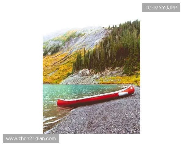 21点必胜策略全面解析，掌握这些技巧轻松赢得每一局