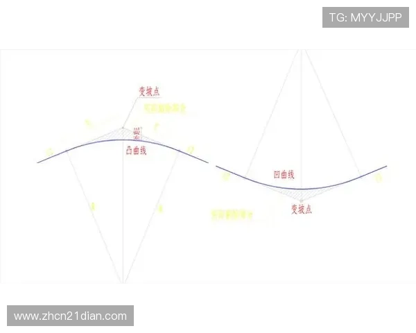 21点策略图表的设计原理与实战应用技巧详尽解读 21点策略图表的设计原理与实战应用技巧详尽解读