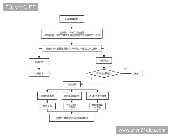 二十一点最佳策略图的使用技巧与实战应用全面解析