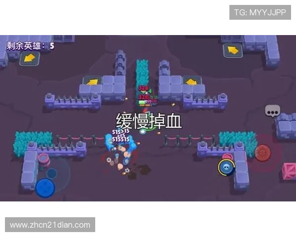 21点规则详解与玩法攻略全方位指导助你成为牌桌上的赢家